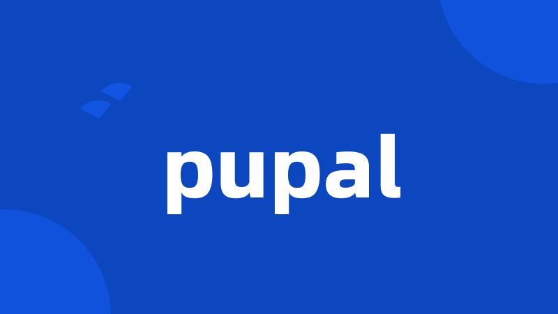 pupal