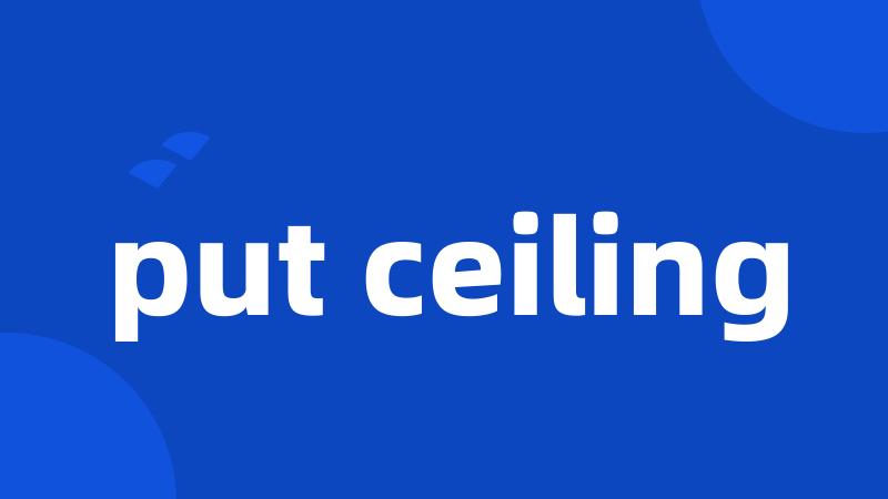 put ceiling