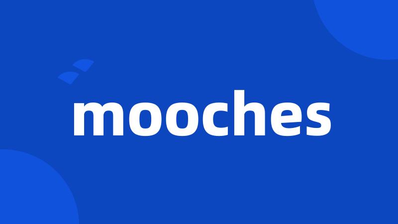 mooches