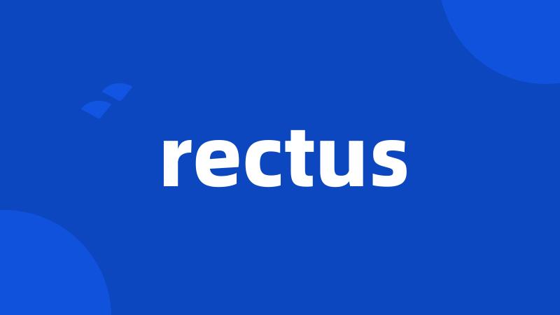 rectus