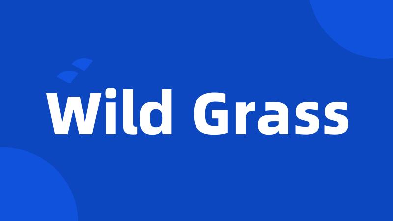 Wild Grass