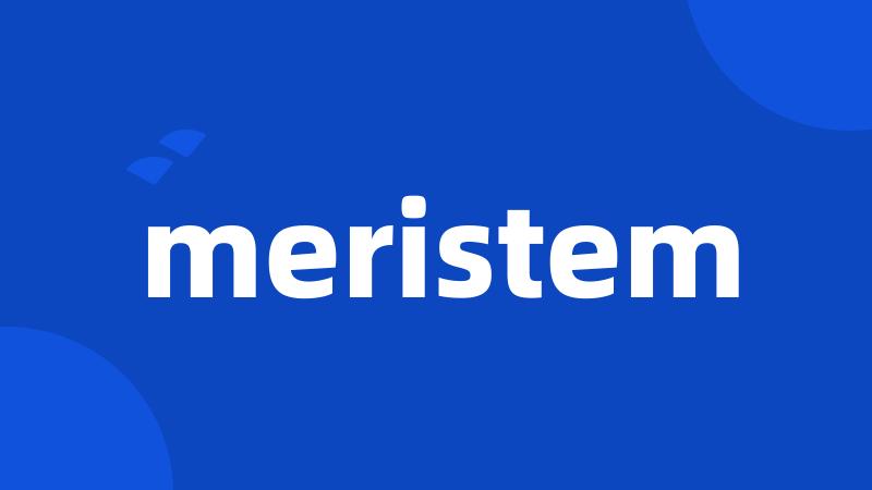 meristem