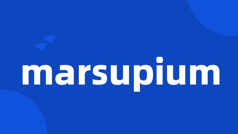 marsupium