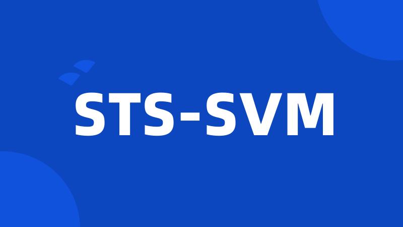 STS-SVM