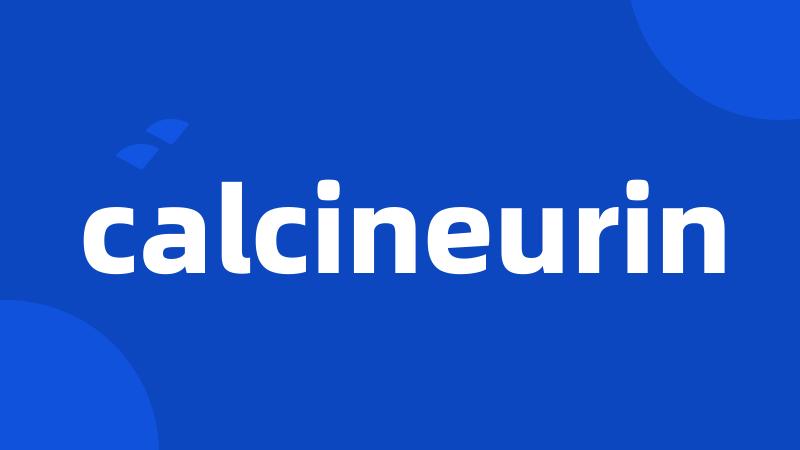 calcineurin