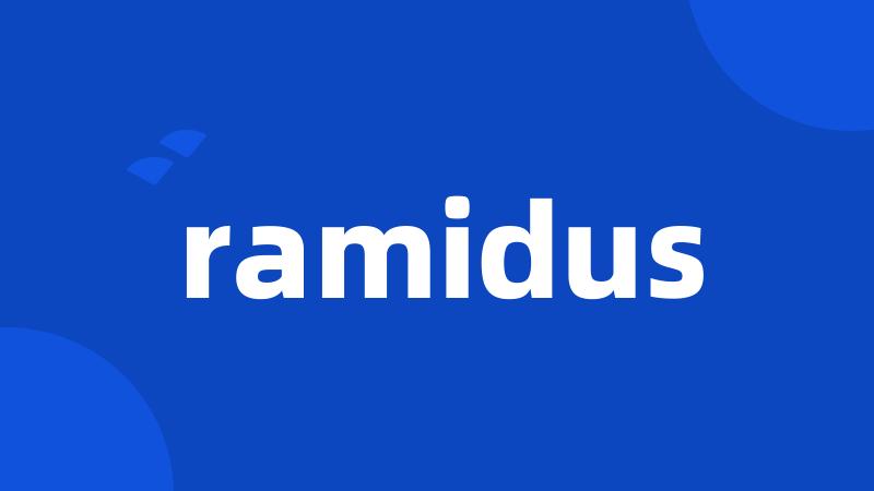 ramidus