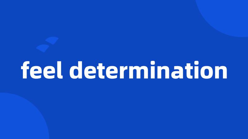 feel determination