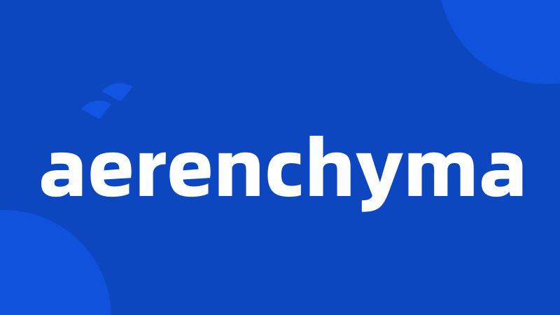 aerenchyma