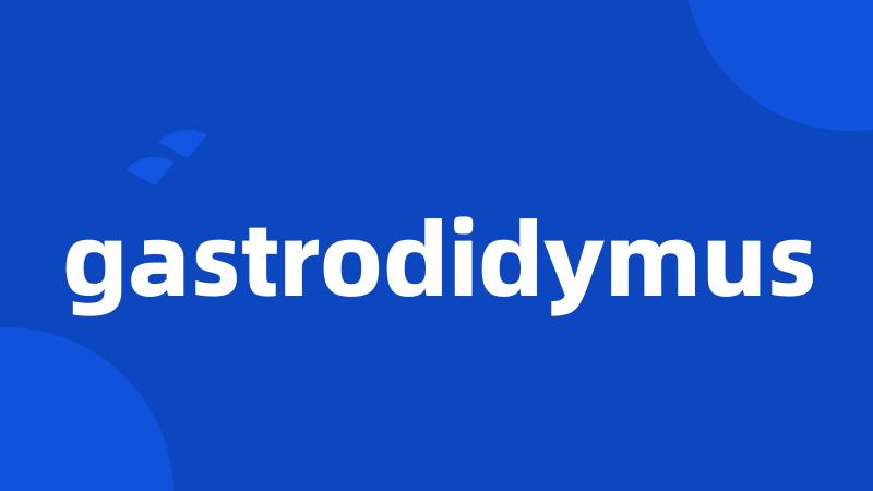 gastrodidymus