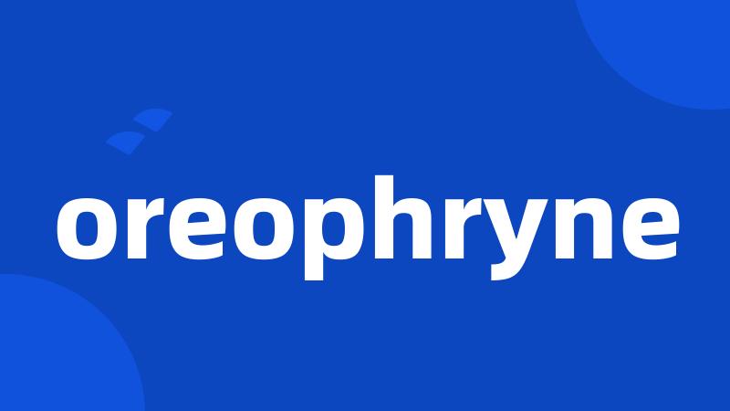 oreophryne