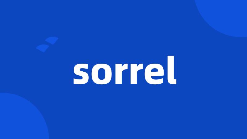 sorrel