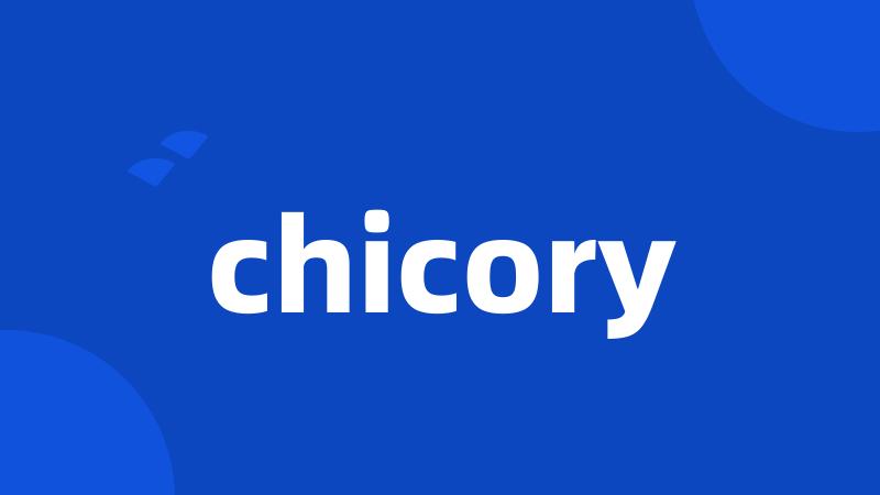 chicory