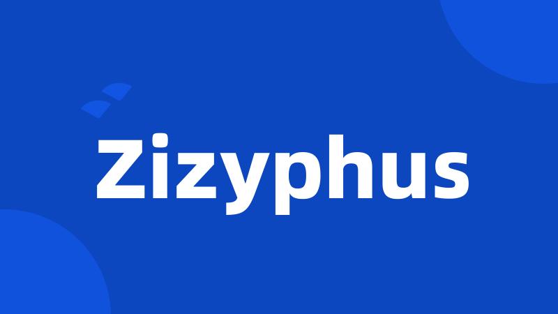 Zizyphus