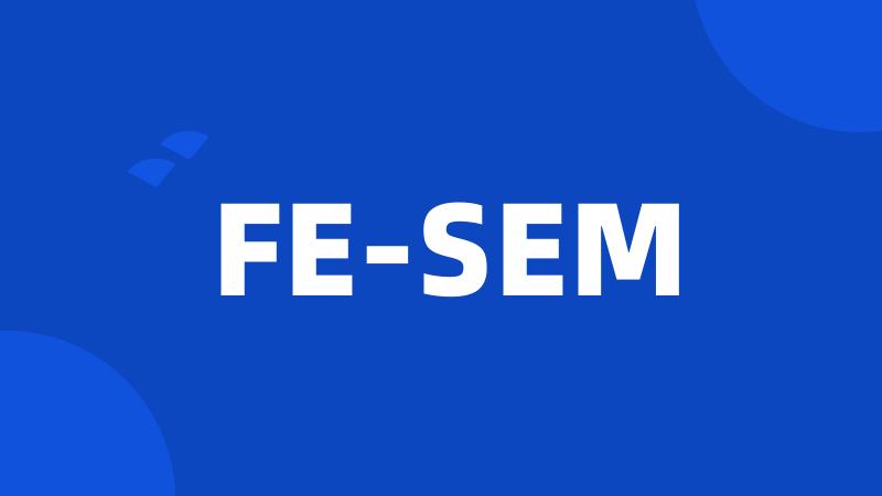 FE-SEM