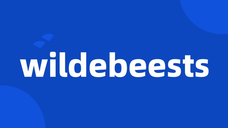 wildebeests