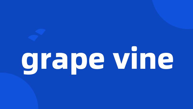 grape vine