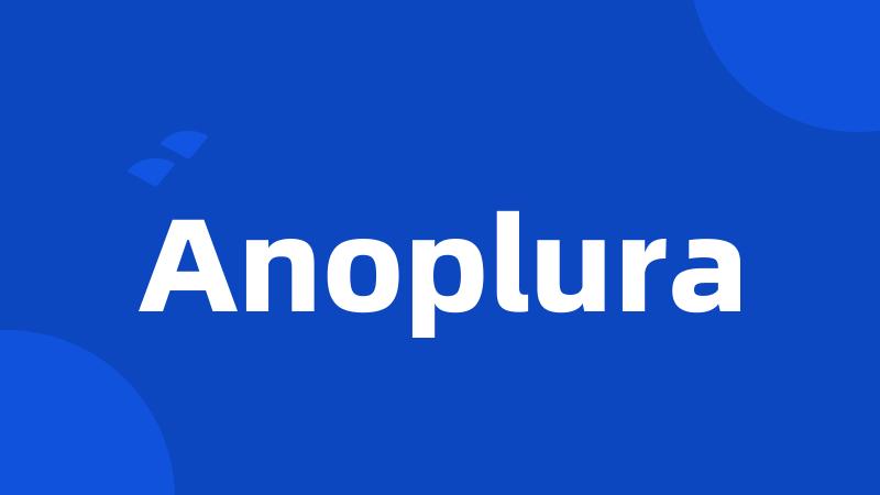 Anoplura