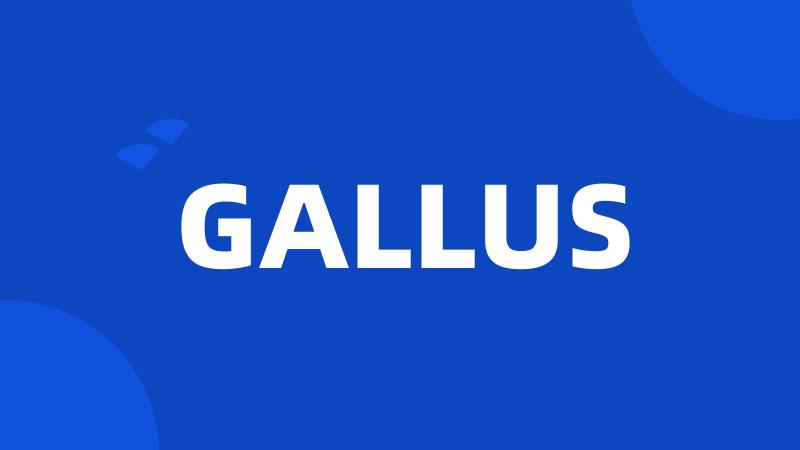 GALLUS