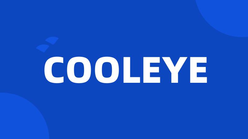 COOLEYE