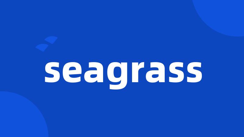 seagrass