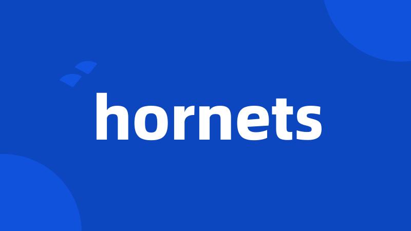 hornets