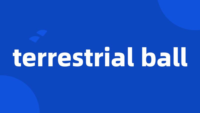 terrestrial ball