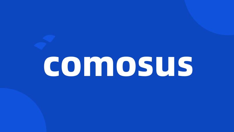 comosus