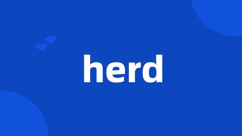 herd