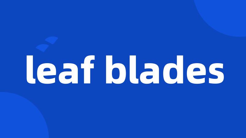 leaf blades