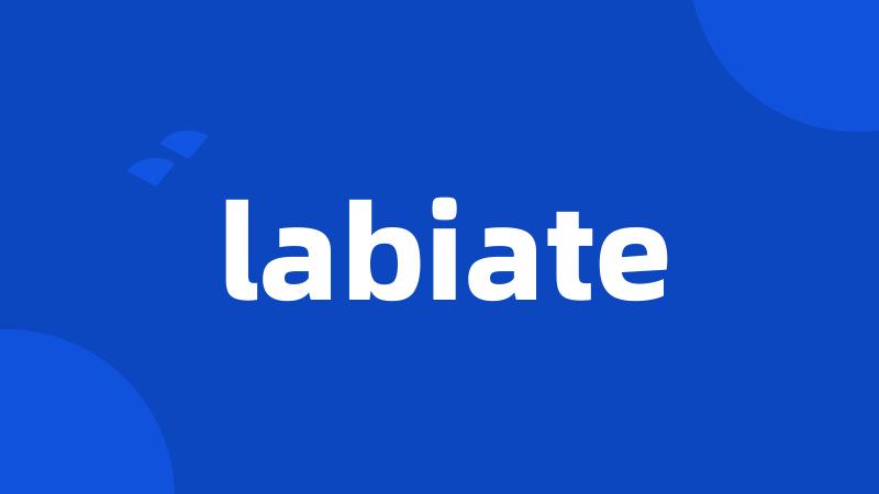 labiate