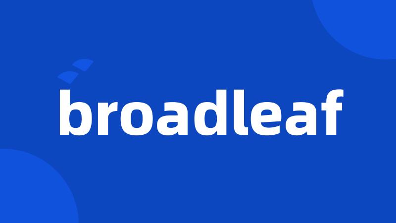 broadleaf