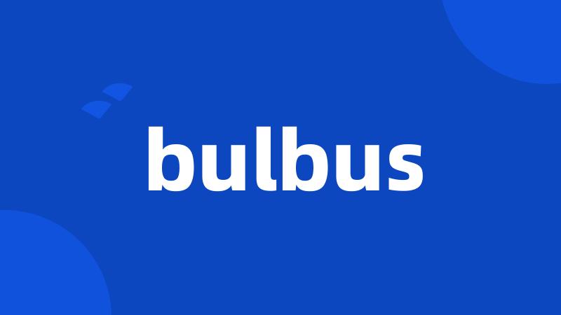 bulbus