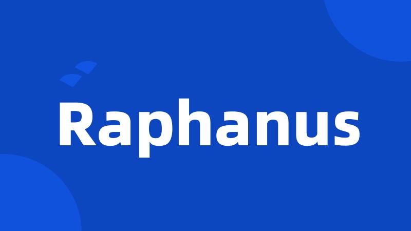 Raphanus