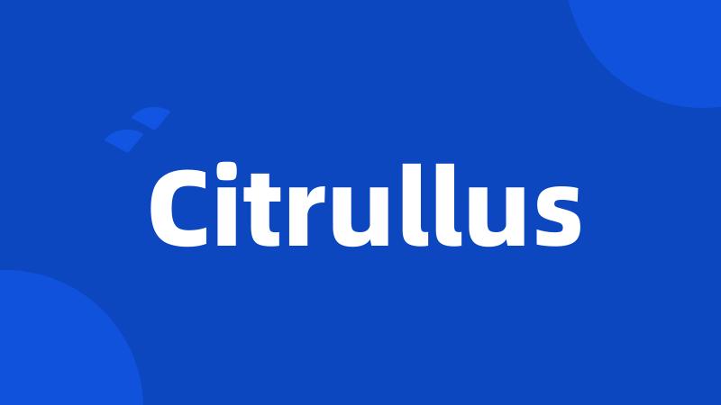 Citrullus