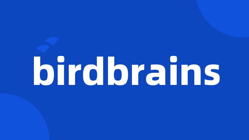 birdbrains