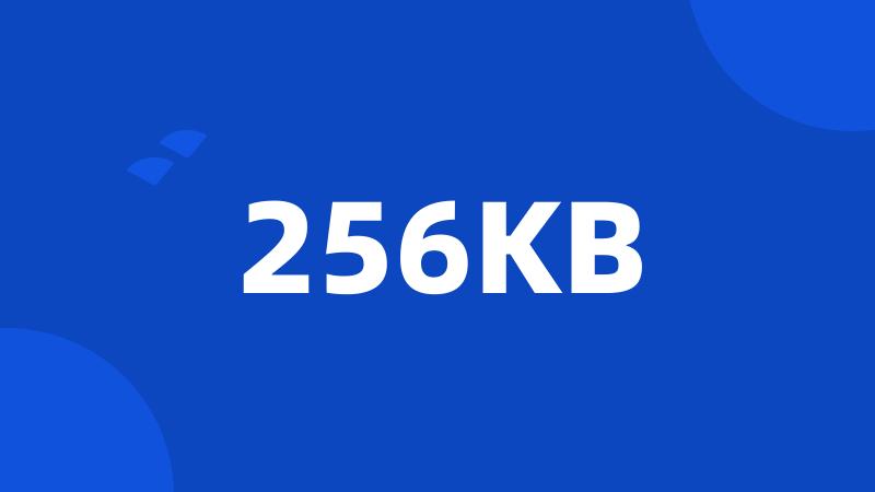 256KB