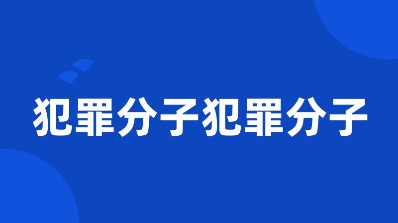 犯罪分子犯罪分子