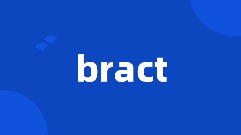 bract