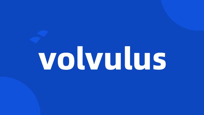 volvulus