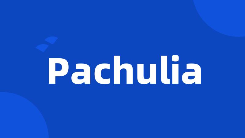 Pachulia