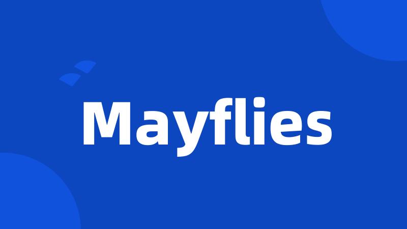 Mayflies