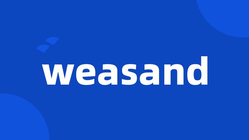 weasand