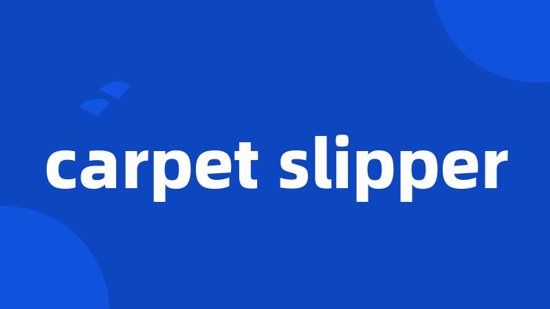 carpet slipper