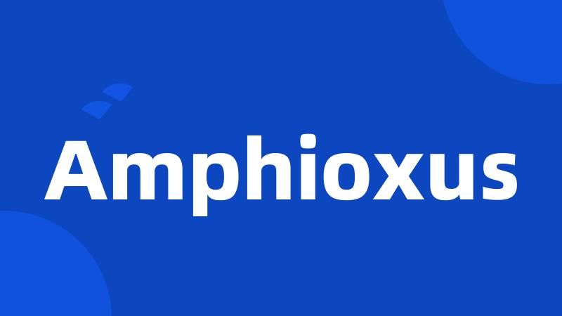 Amphioxus