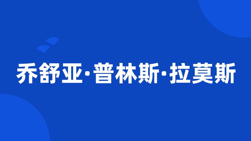 乔舒亚·普林斯·拉莫斯