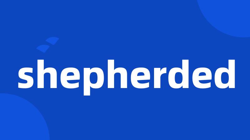 shepherded