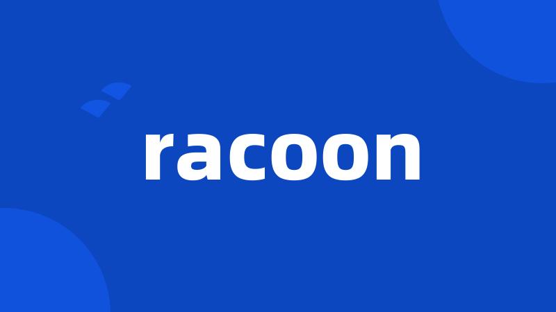 racoon