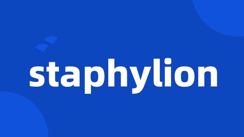 staphylion