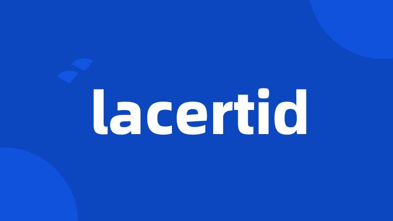 lacertid