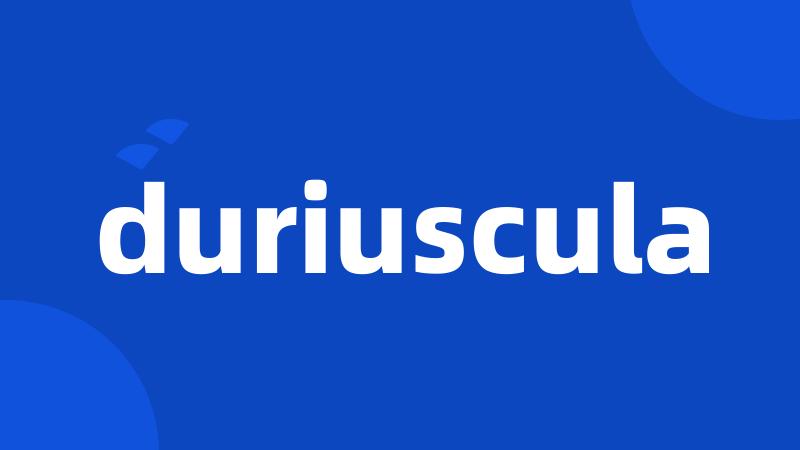 duriuscula